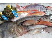 O Peixe é um alimento nutricionalmente rico e o seu consumo deve ser regular. Ao almoço ou ao jantar o peixe não deve faltar!